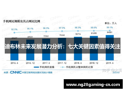 迪布林未来发展潜力分析:七大关键因素值得关注