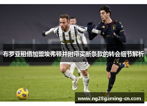 布罗亚租借加盟埃弗顿并附带买断条款的转会细节解析 布罗亚租借加盟埃弗顿并附带买断条款的转会细节解析