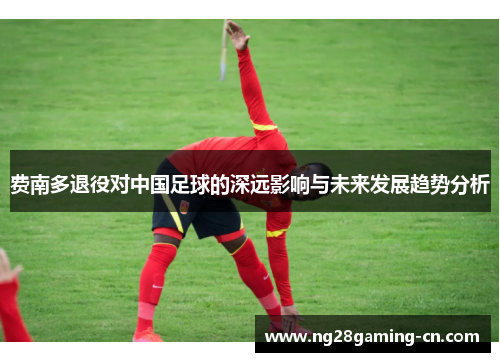 费南多退役对中国足球的深远影响与未来发展趋势分析